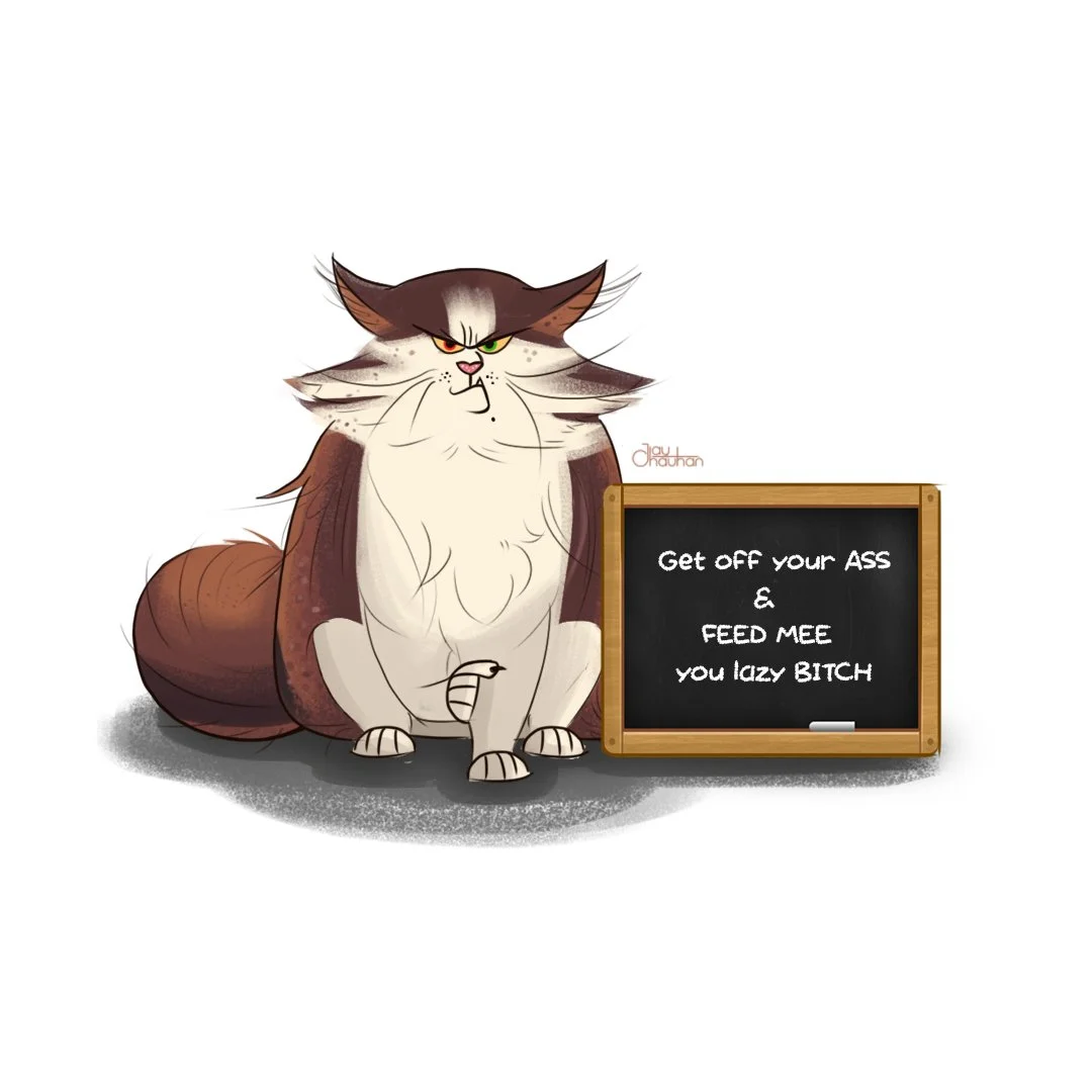 An animated cat with an angry expression sitting next to a small chalkboard that has a humorous message written on it.
