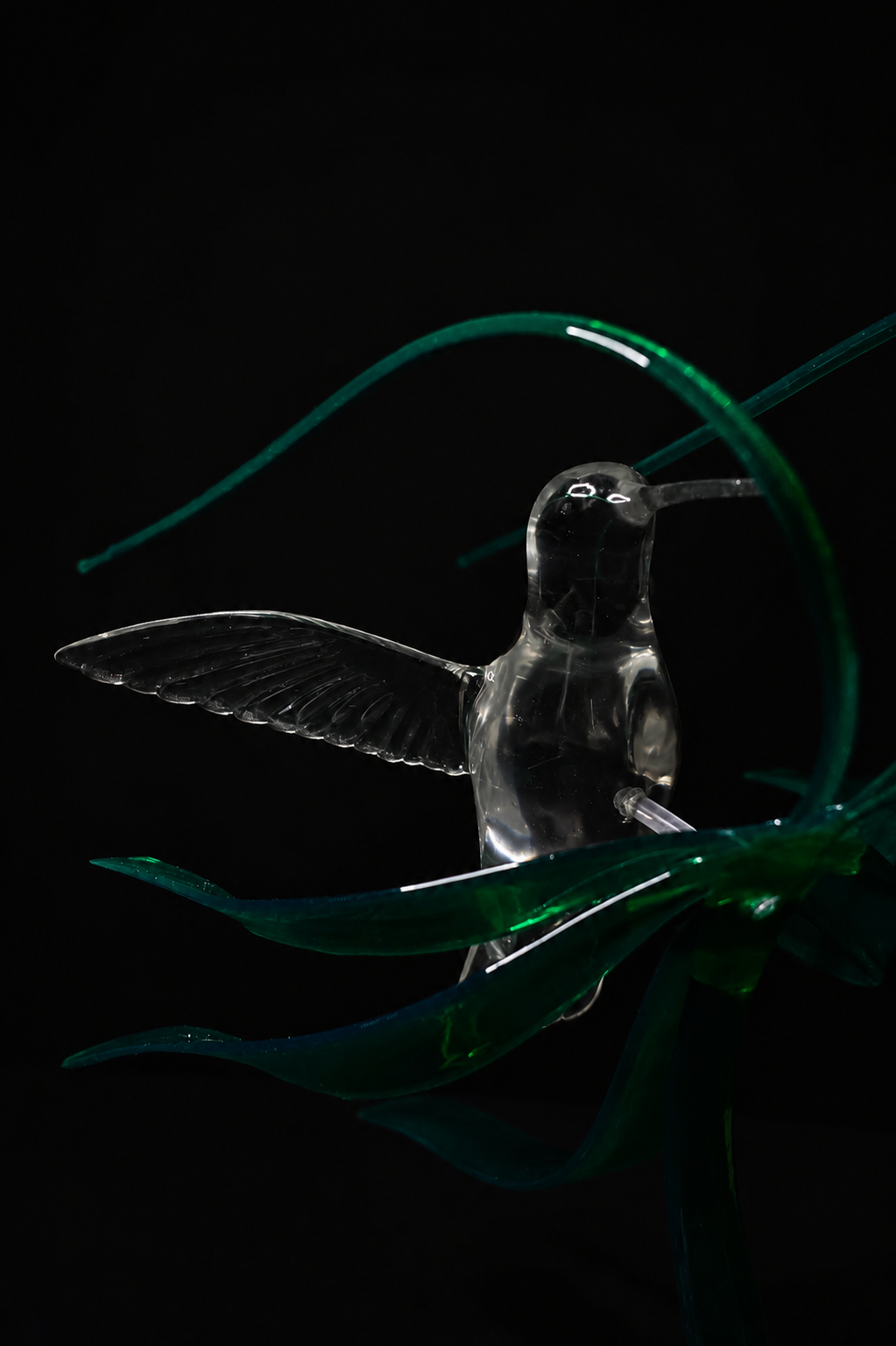 colibri retouche squarespace.png