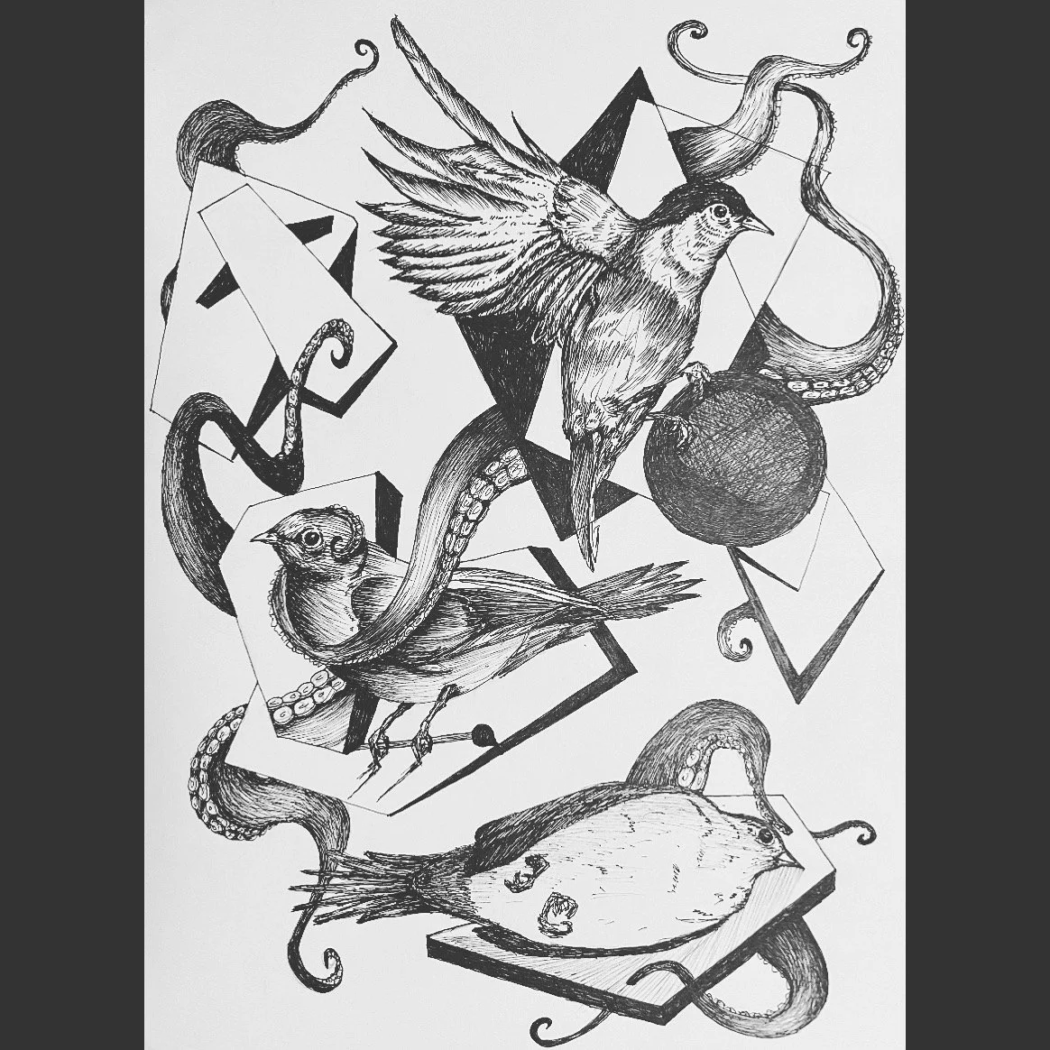 Youth, middle age, old age