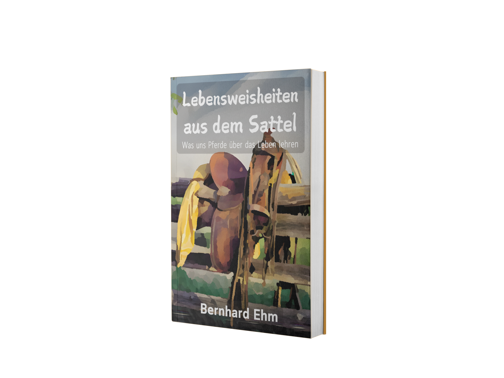 Buchcover mit Holzzaun und einem Sattel, Titel: "Lebensweisheiten aus dem Sattel", Untertitel: "Was uns Pferde über das Leben lehren", Autor: Bernhard Ehm