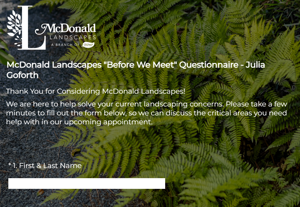 Before We Meet Questionnaire & Style Quiz