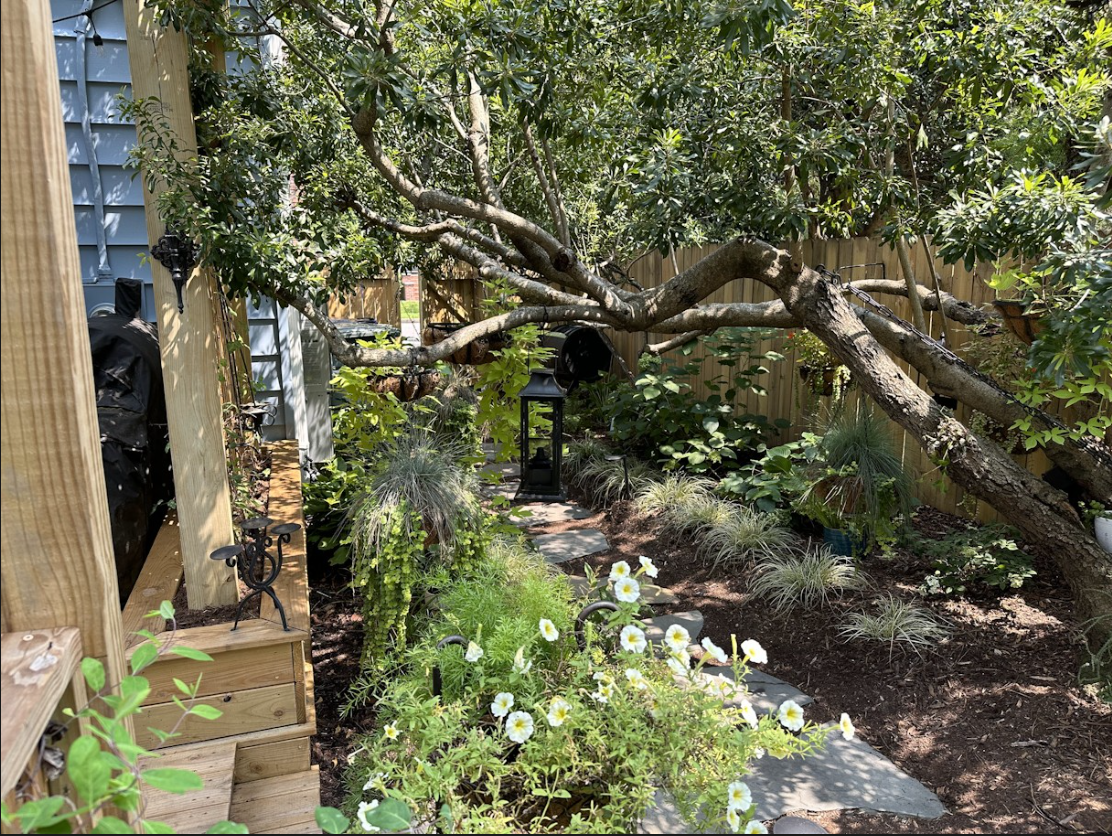 Screenshot 2026-01-10 135335.png