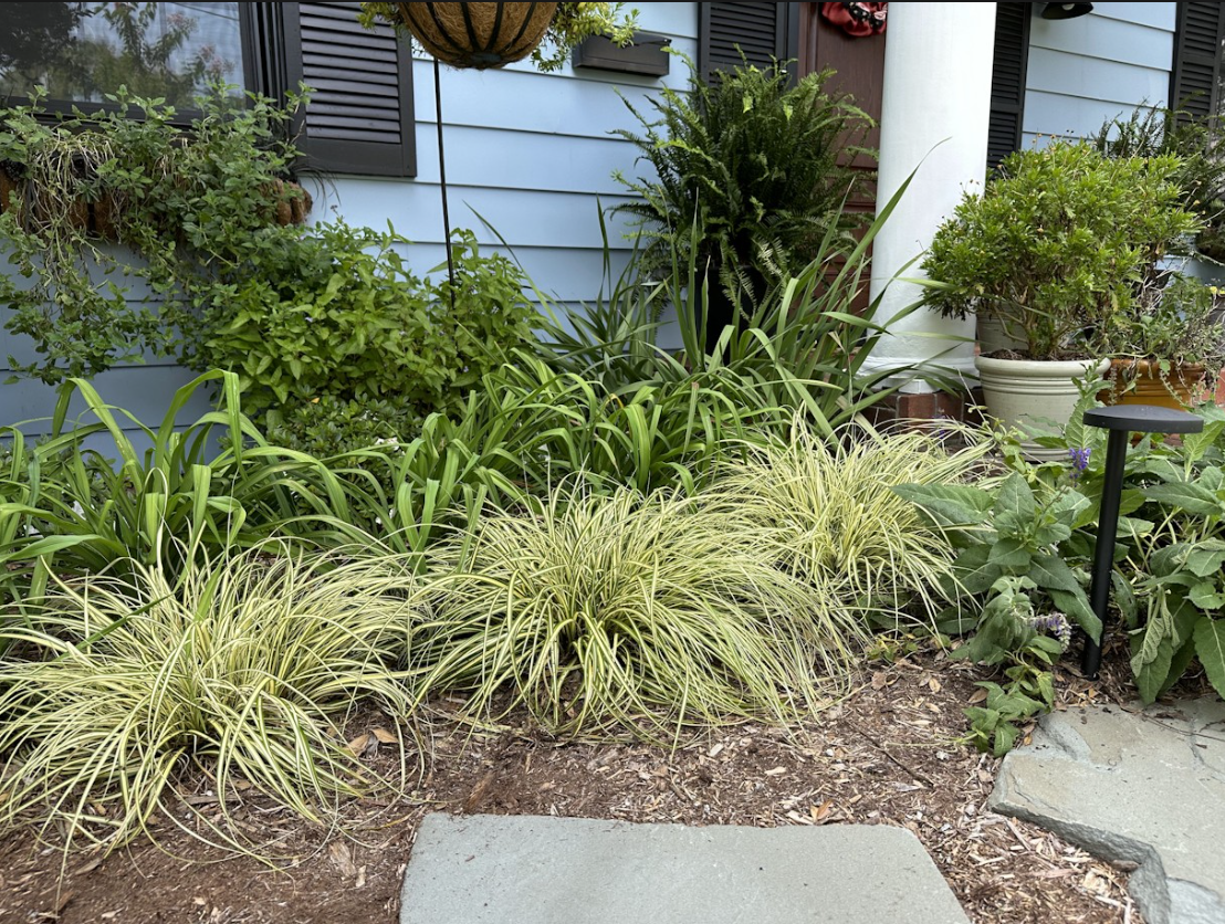 Screenshot 2026-01-10 134934.png