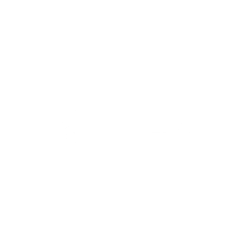 vfmedia-white-transparent-logo.png