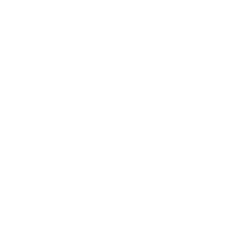alcott-global-white-transparent-logo.png