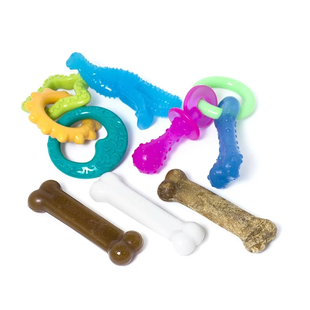 018214843344-nylabone-amazon-puppy-bundle-kit-med-familygroup.jpeg