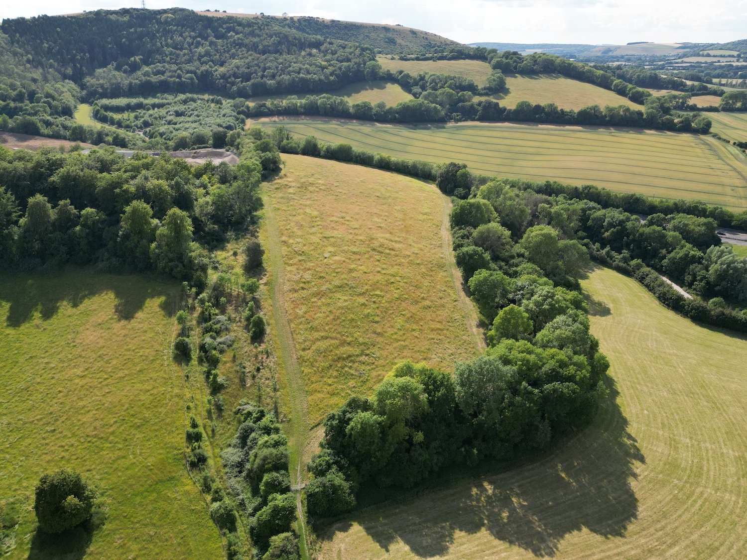 DJI_0137 (2).JPG