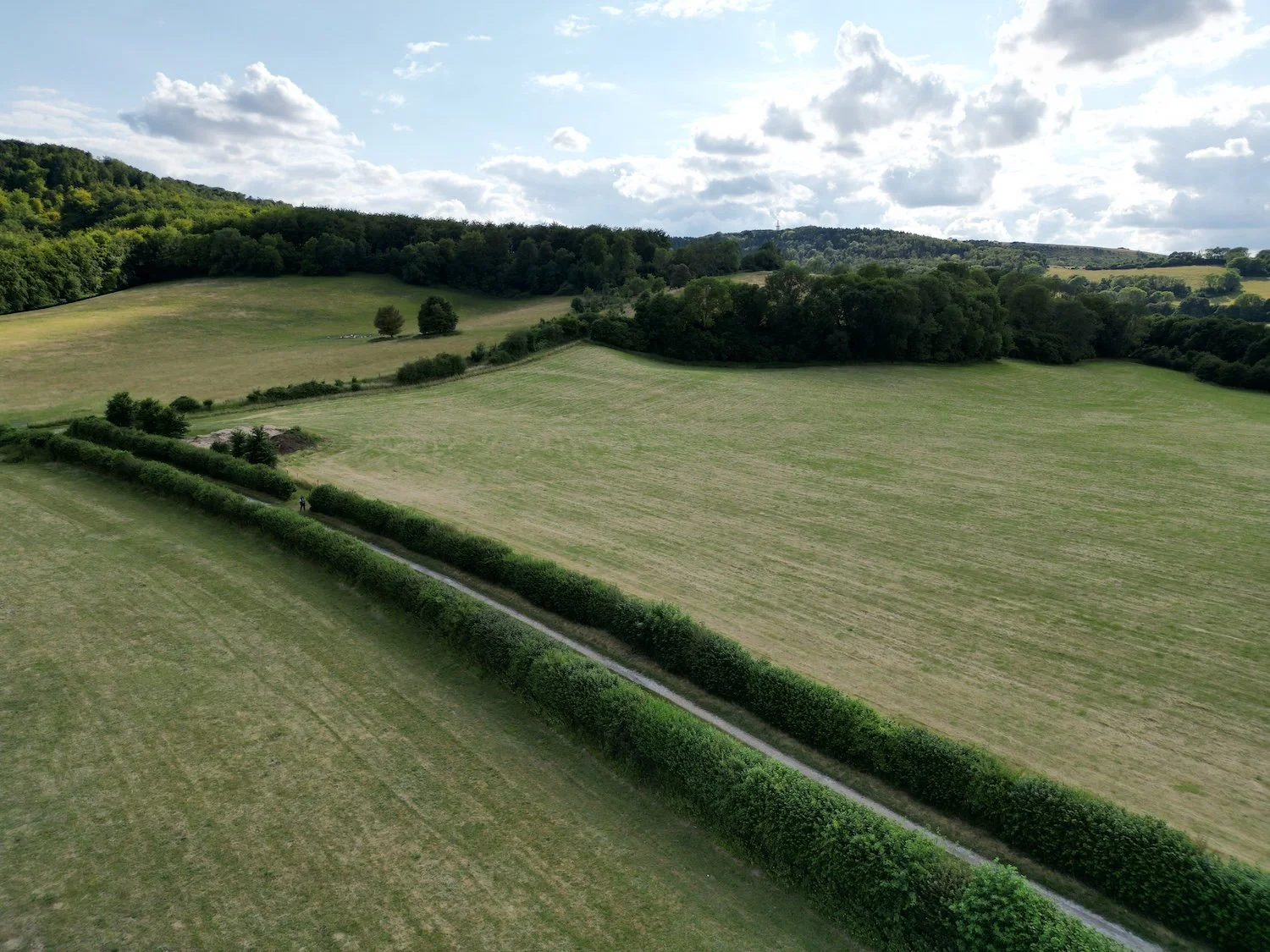 DJI_0164 (1).JPG