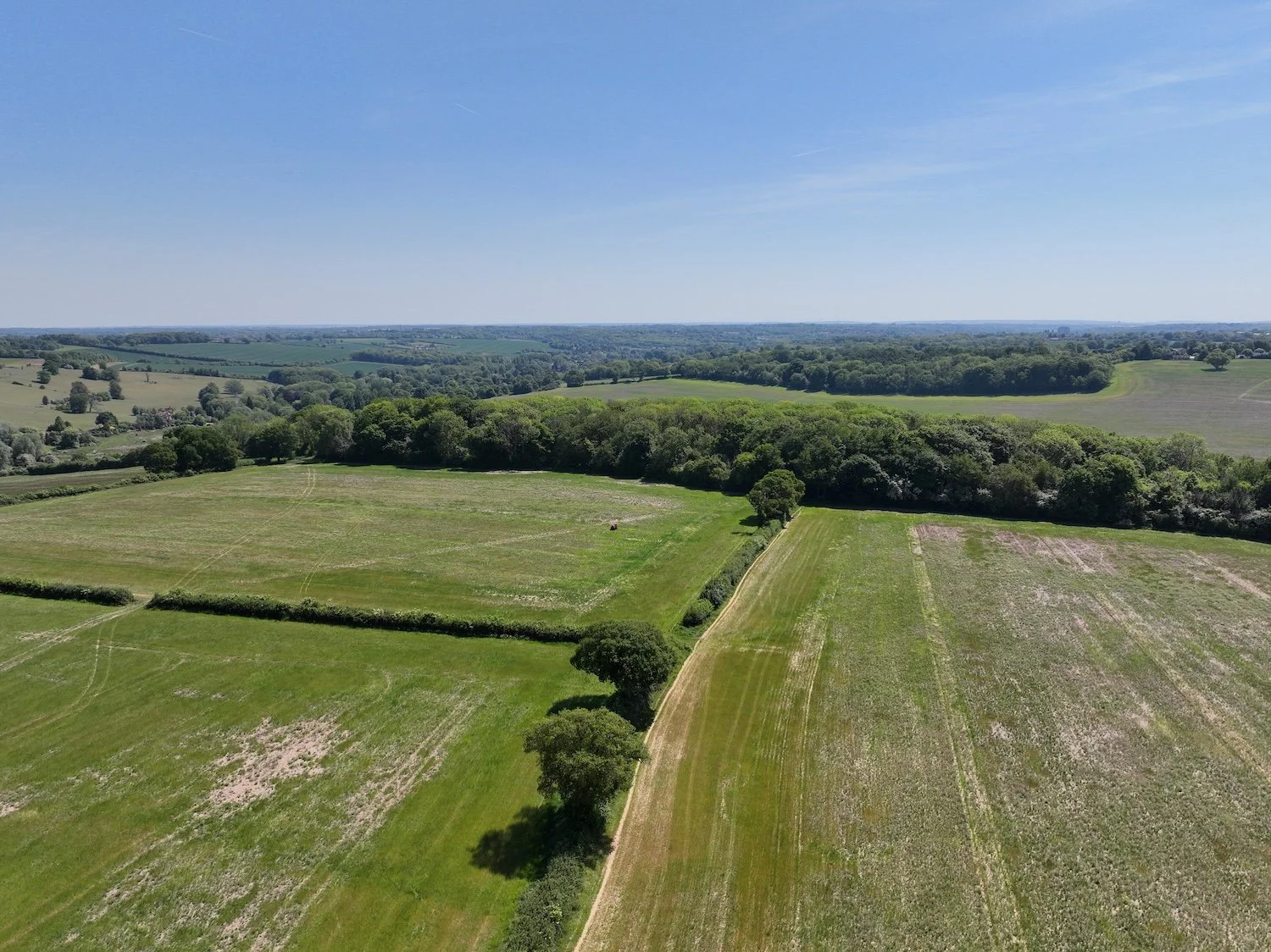 DJI_20250514123754_0011_V.JPG