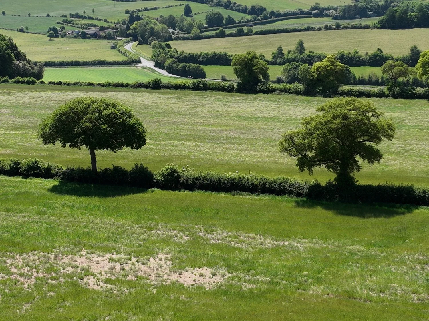 DJI_20250514124640_0026_V.JPG