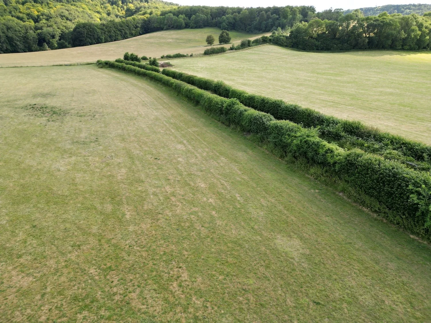 DJI_0167 (1).JPG