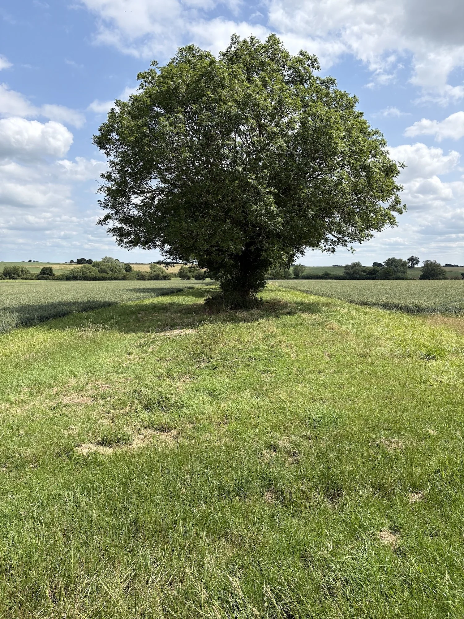 IMG_0624.jpeg