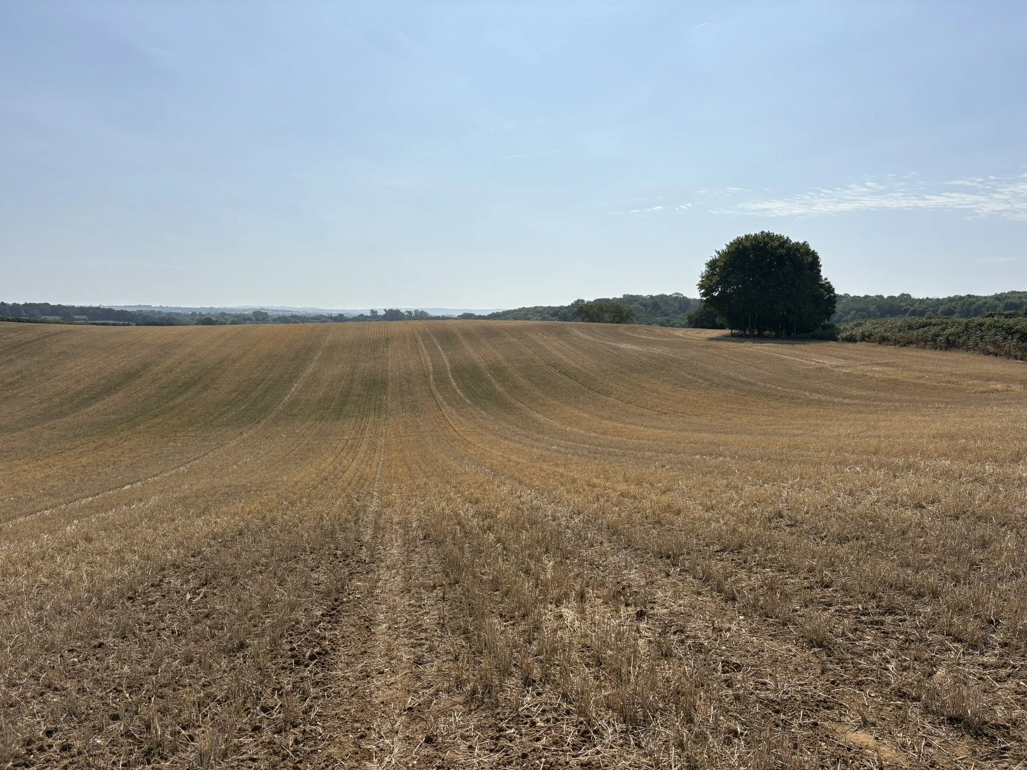 B3A27685-2689-4EF0-8CEE-E7B86BB2787C_1_102_o.jpeg