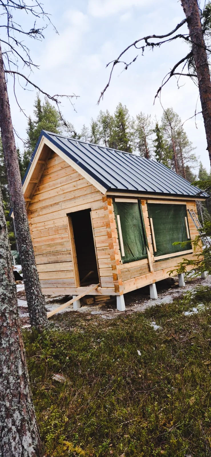Unfinished wooden cabin in a forest with trees and moss on the ground.