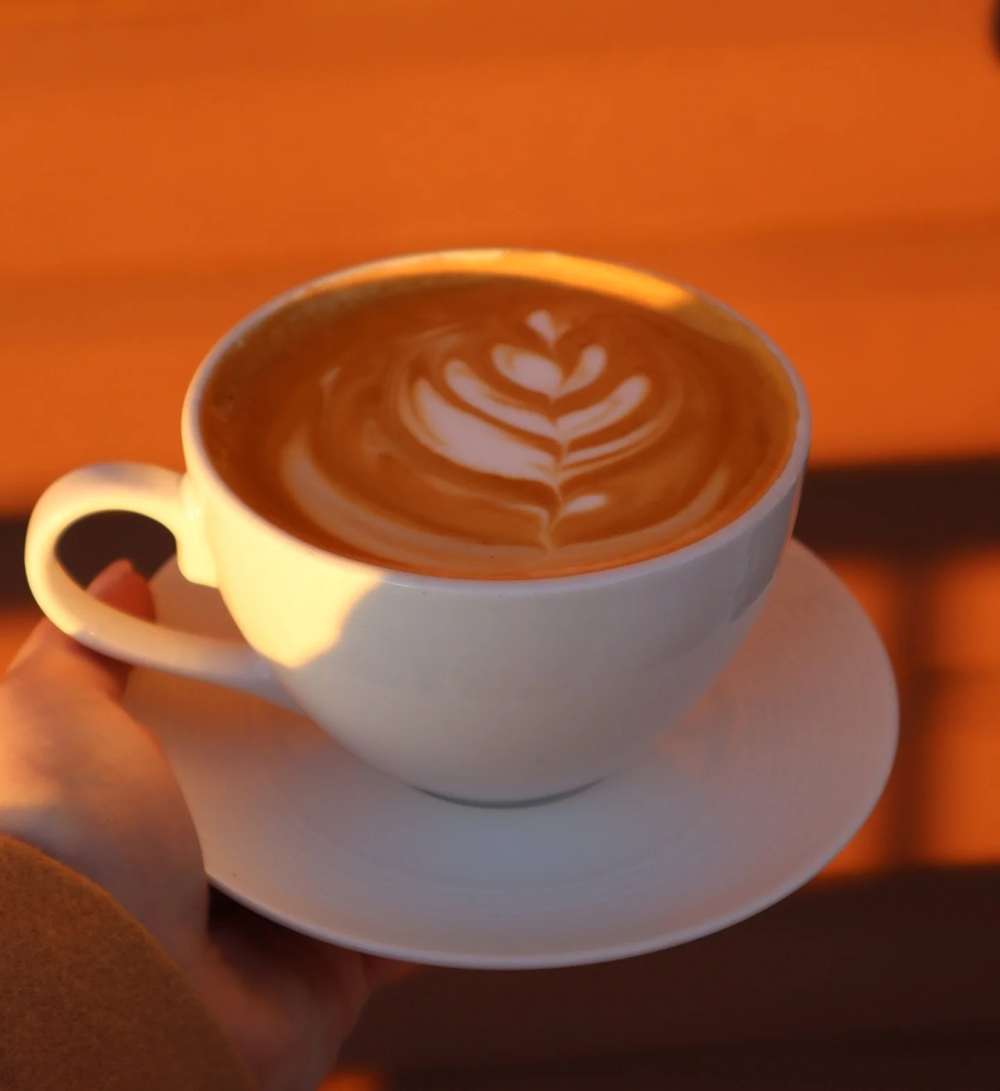 Happy Friday! - start your weekend off right with a cozy latte from Gingerhouse☕️

#friday #gingerhouse #espresso #latteart