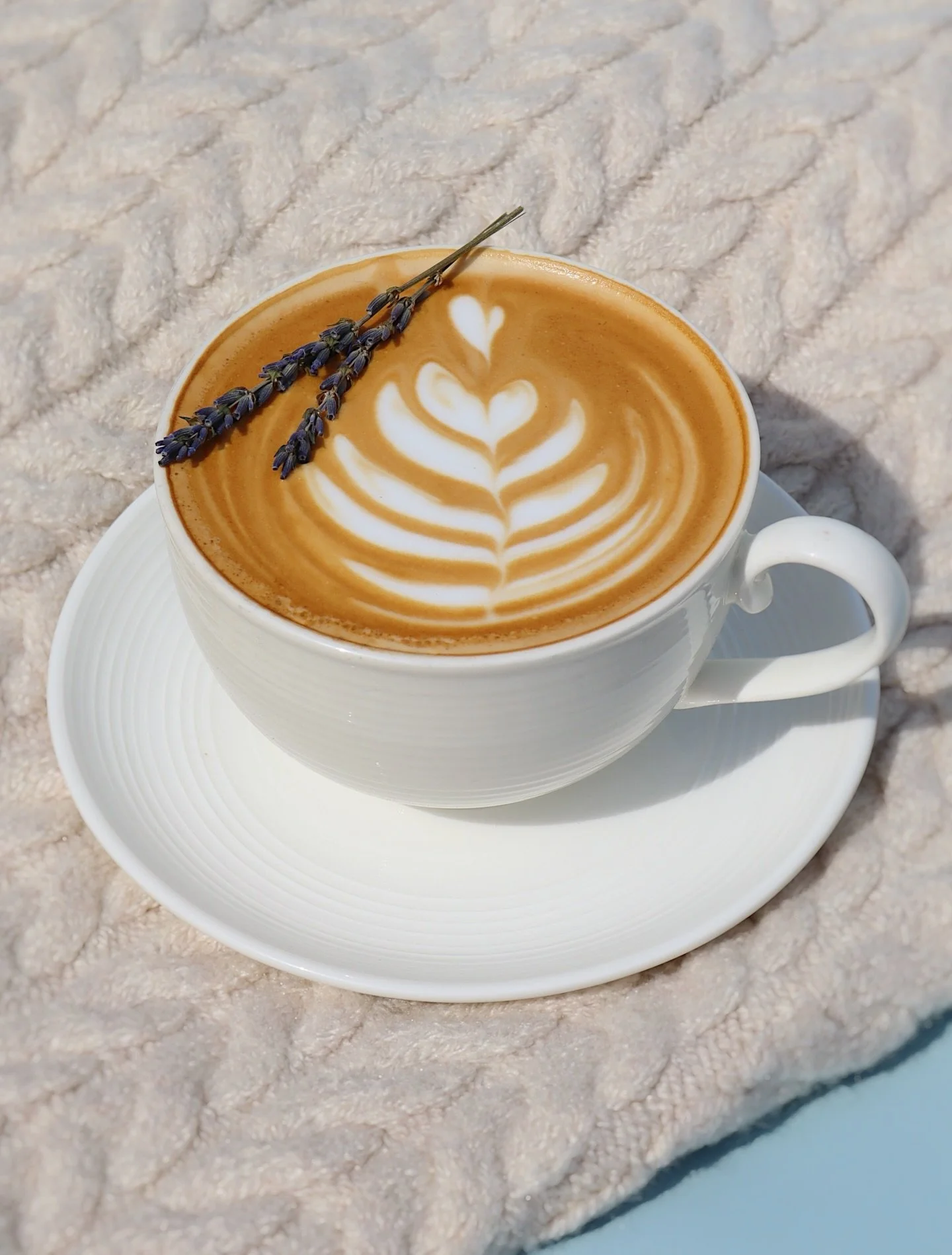 A soft sip of spring☀️- any lavender latte lovers here?

#lavender #lavenderlatte #coffee #amishcountry #coffeeshop