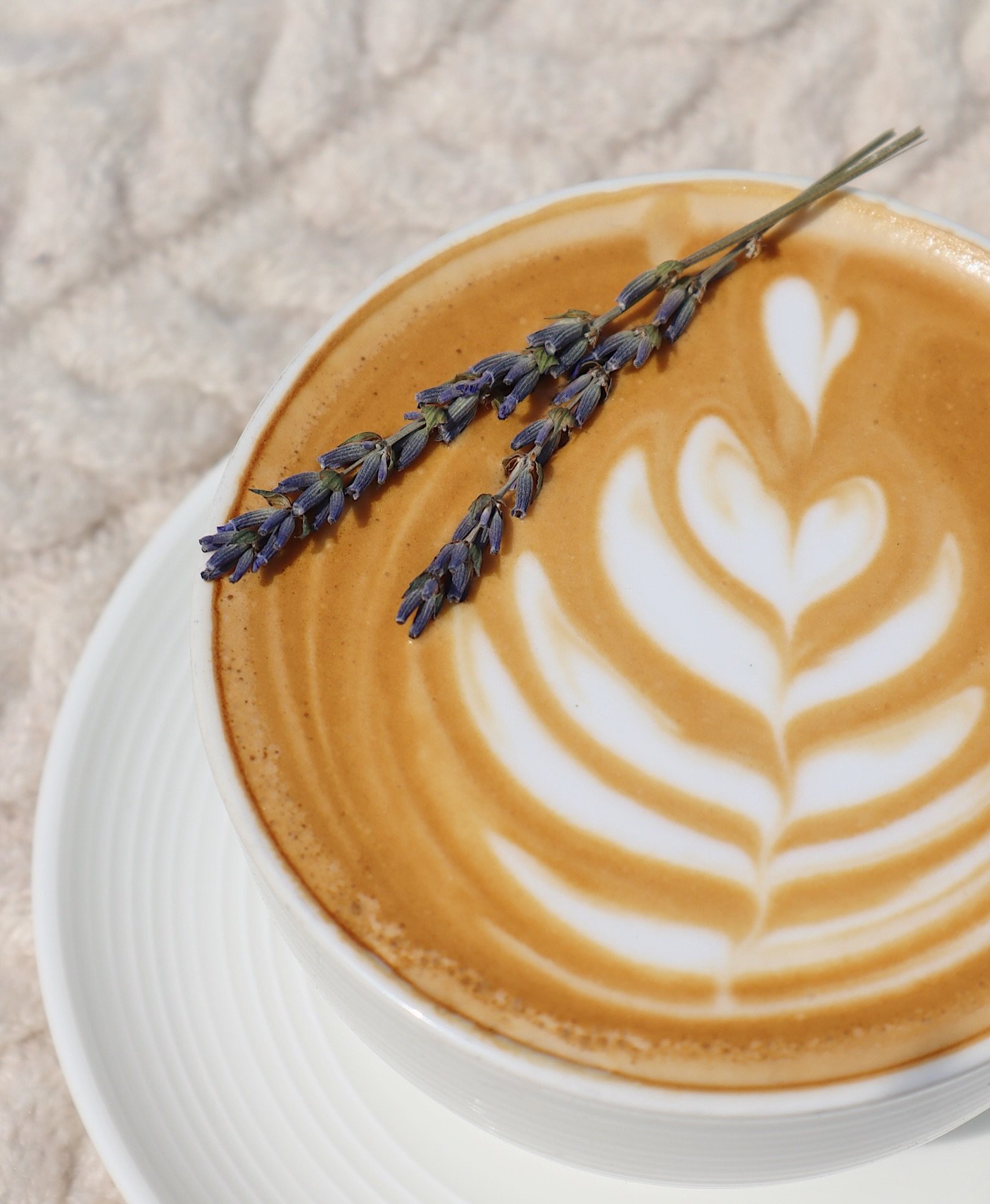 lavender + honey = the perfect spring flavor combo🐝

#lavender #latte #lavenderflowers #coffee #lavenderlatte