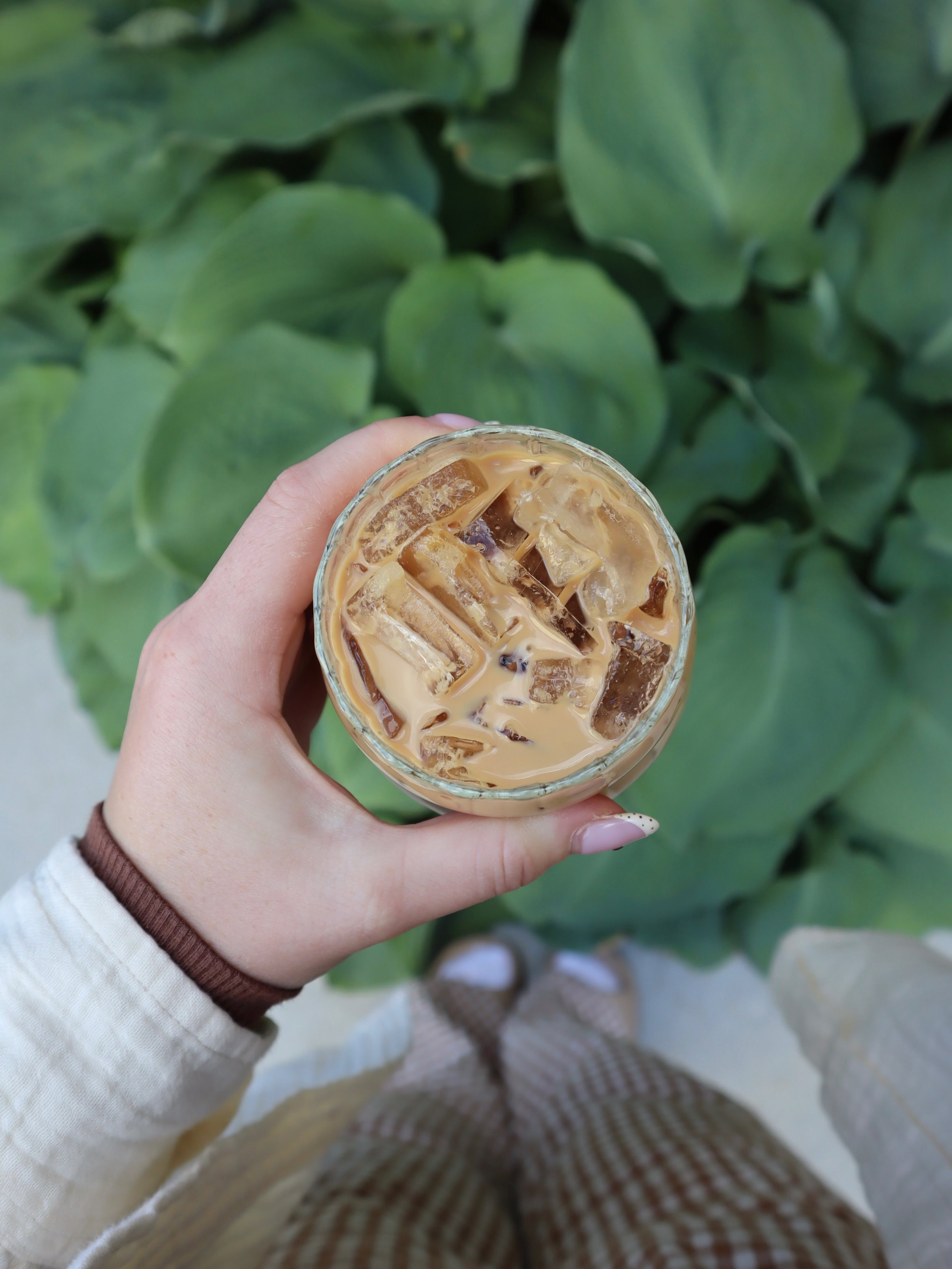 Your go-to iced latte made just right🤎

#gingerhouse #latte #local