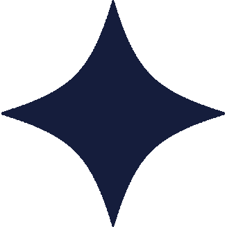 Disco Ceilidh navy twinkle.