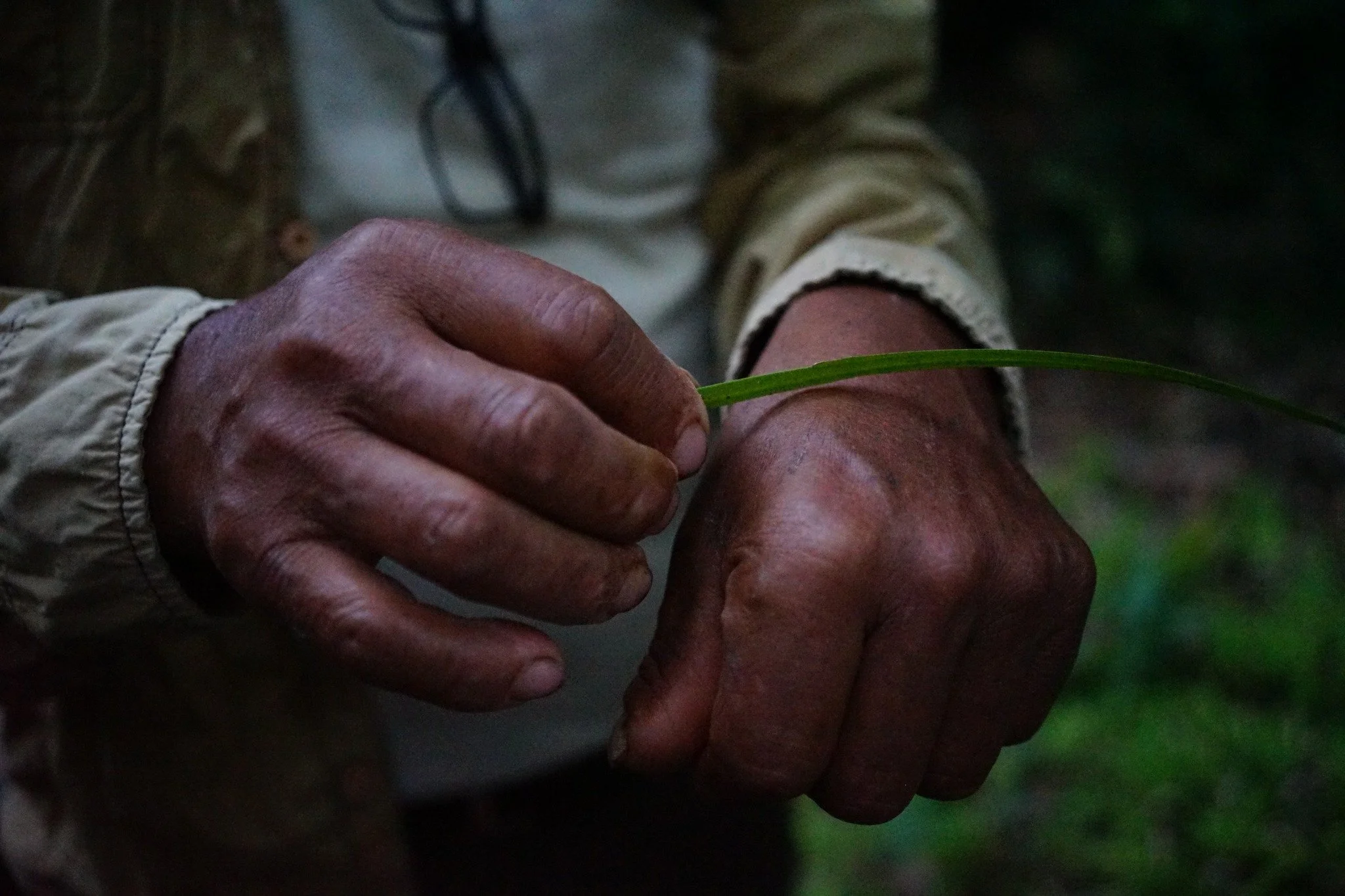 2022, Tambopata National Reserve, Perù.