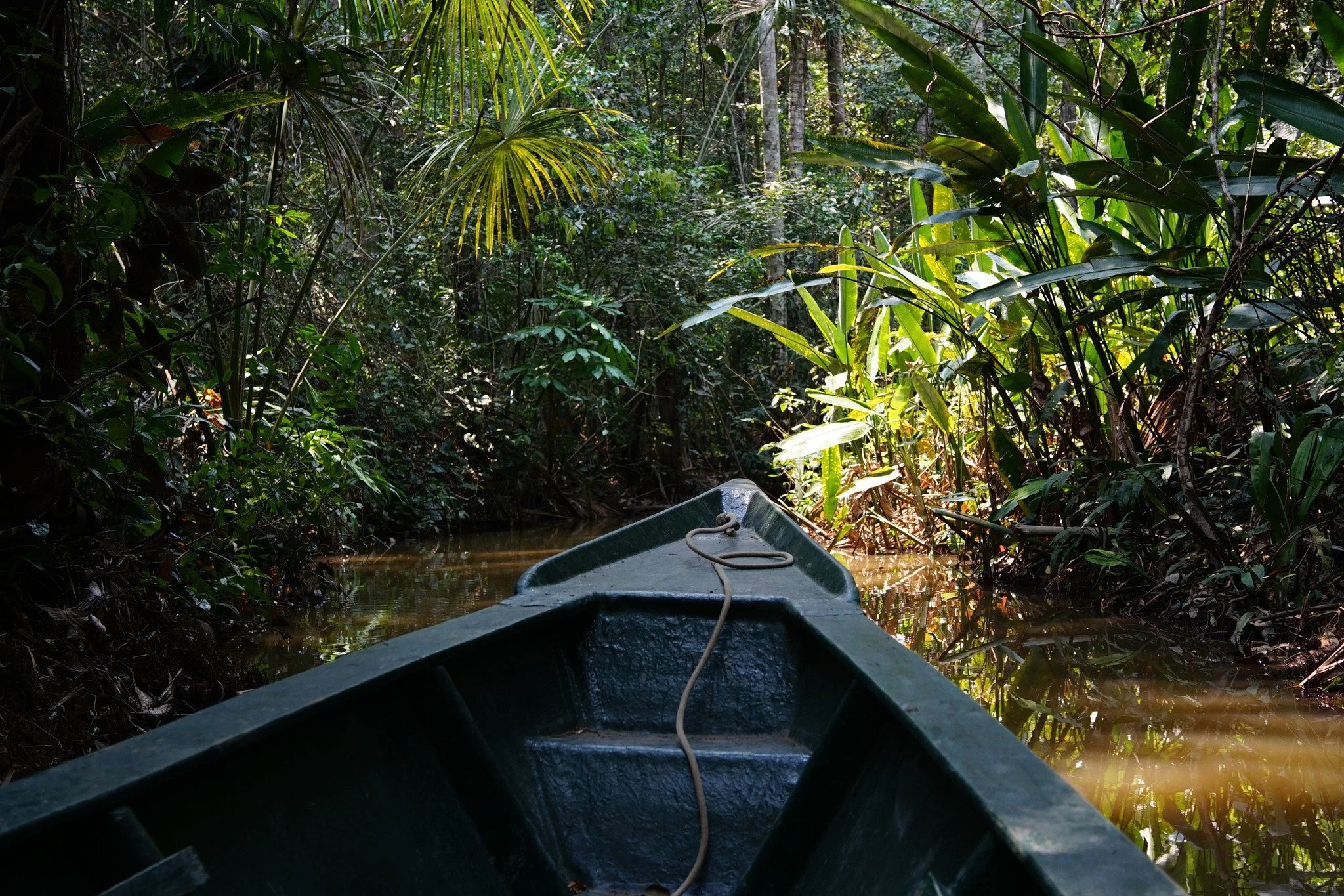 2022, Tambopata National Reserve, Perù.