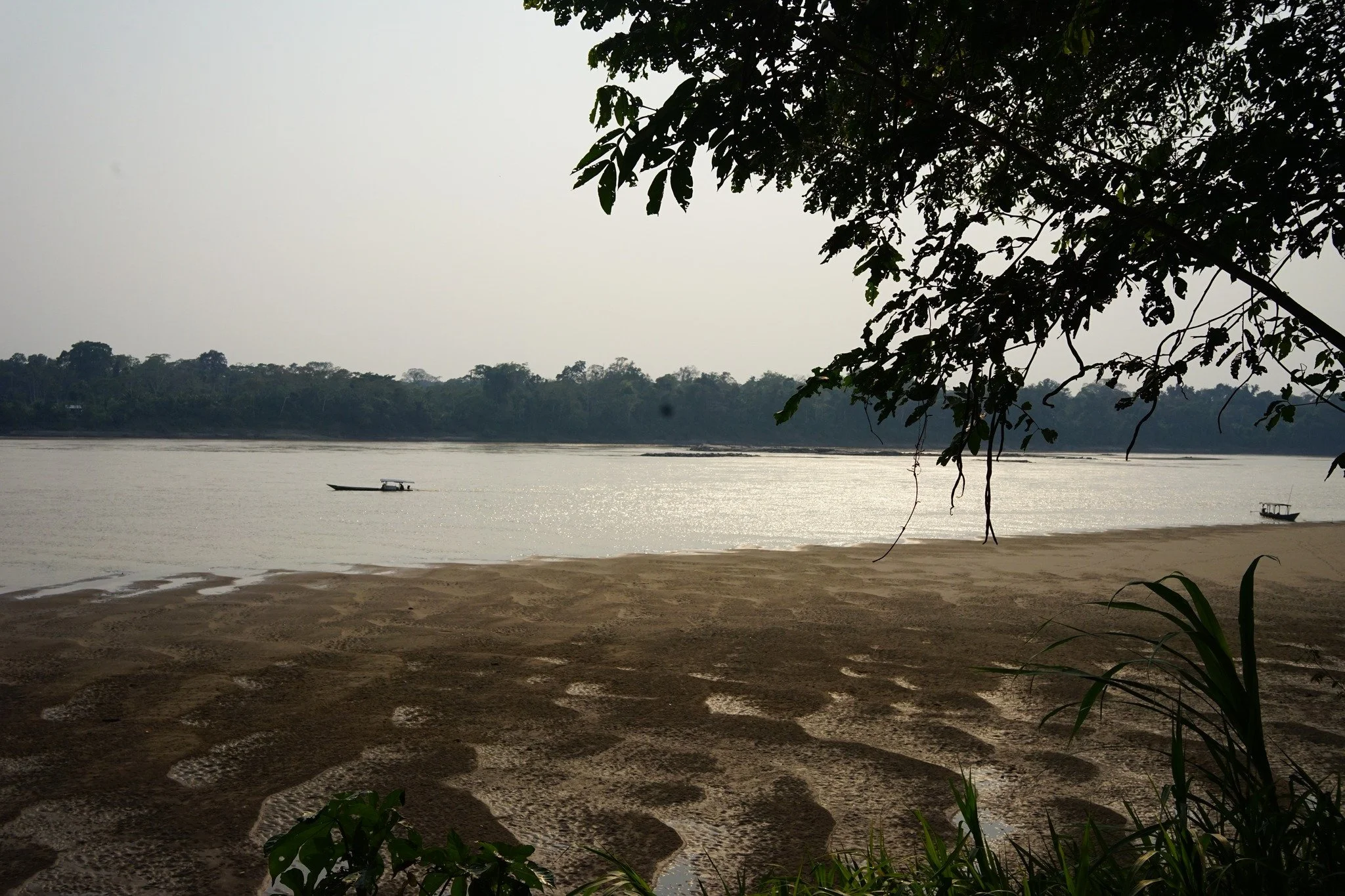 2022, Tambopata National Reserve, Perù.