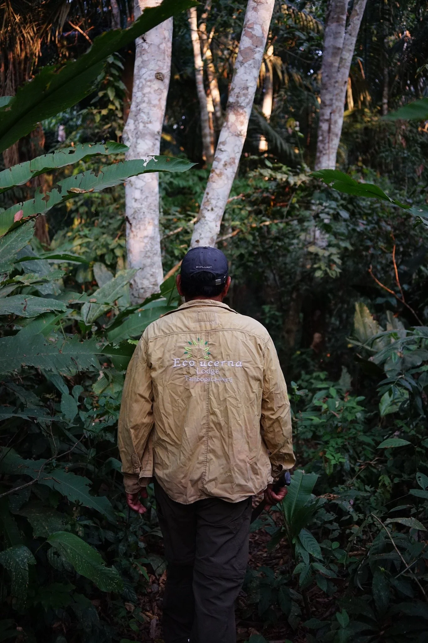 2022, Tambopata National Reserve, Perù.