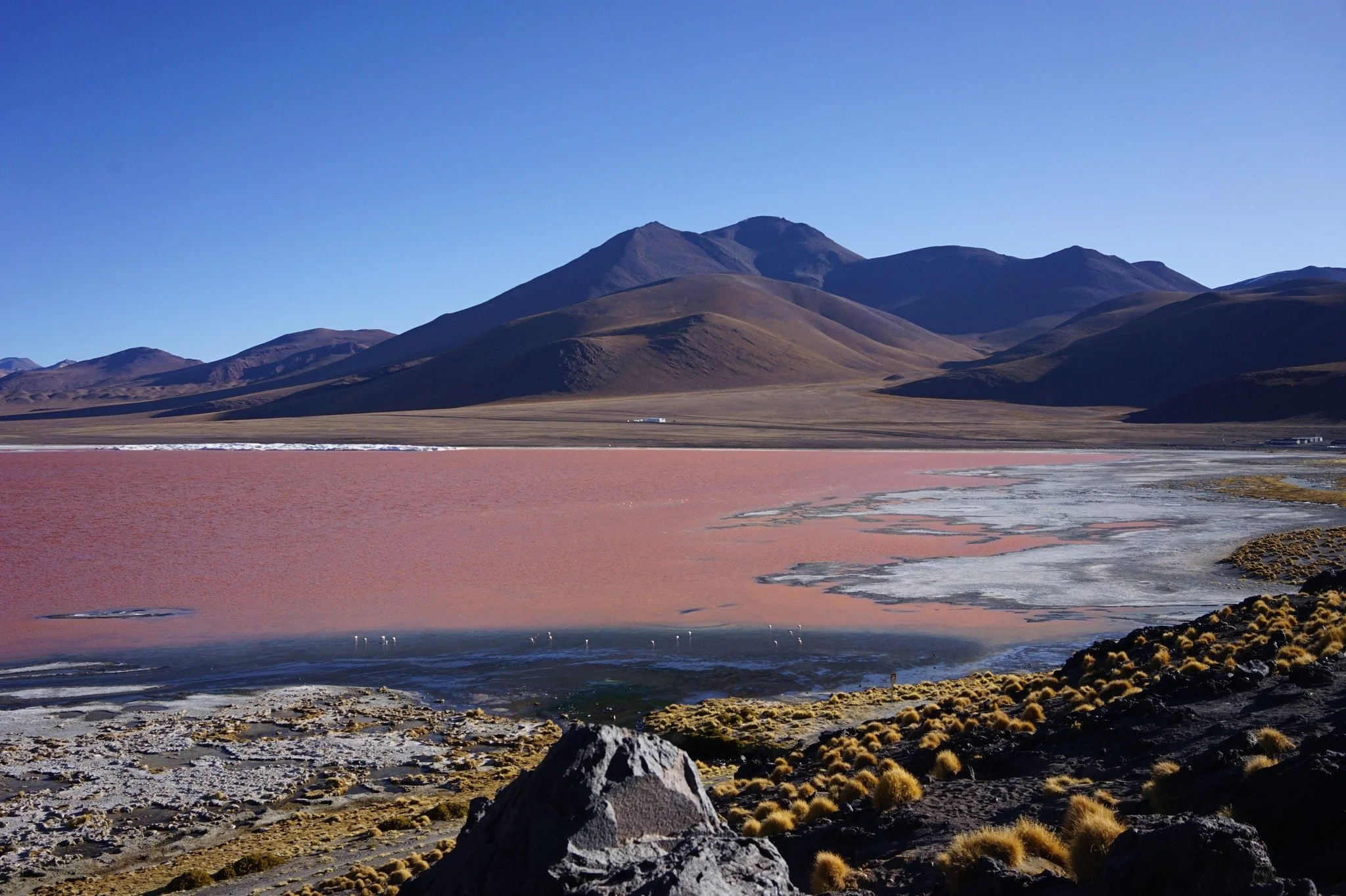2022, Red Laguna, Bolivia.