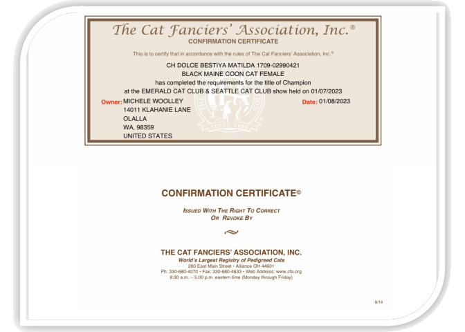 Certificate from The Cat Fanciers' Association, Inc. awarded to Michelle Woolley for the cat named CH DOLCE BESTIA MATILDA. The certificate confirms the achievement as a champion at the Emerald Cat Club & Seattle Cat Club show held on 07/01/2023.