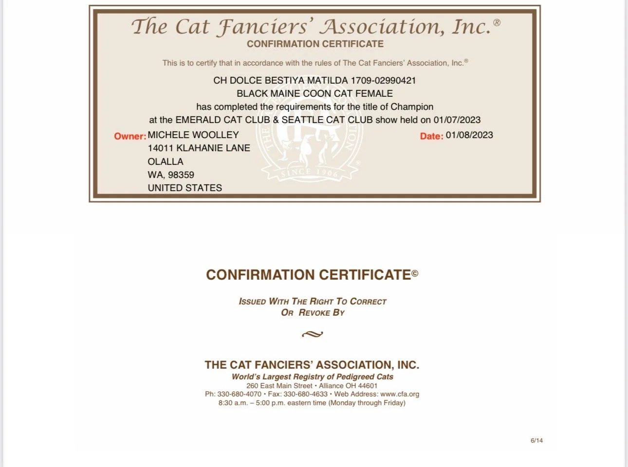 Certificate from The Cat Fanciers' Association, Inc. awarded to a black Maine Coon cat named CH DOLCE BESTIYA MATILDA, certifying it as a champion at the Emerald Cat Club & Seattle Cat Club show held on January 7, 2023. The certificate is signed by owner Michele Woolley.