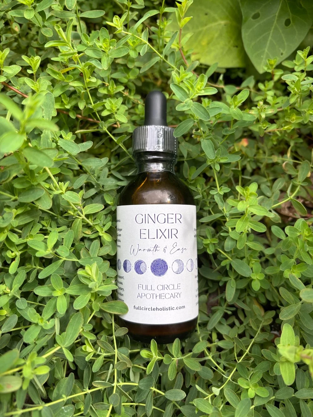 gingerelixir.jpg