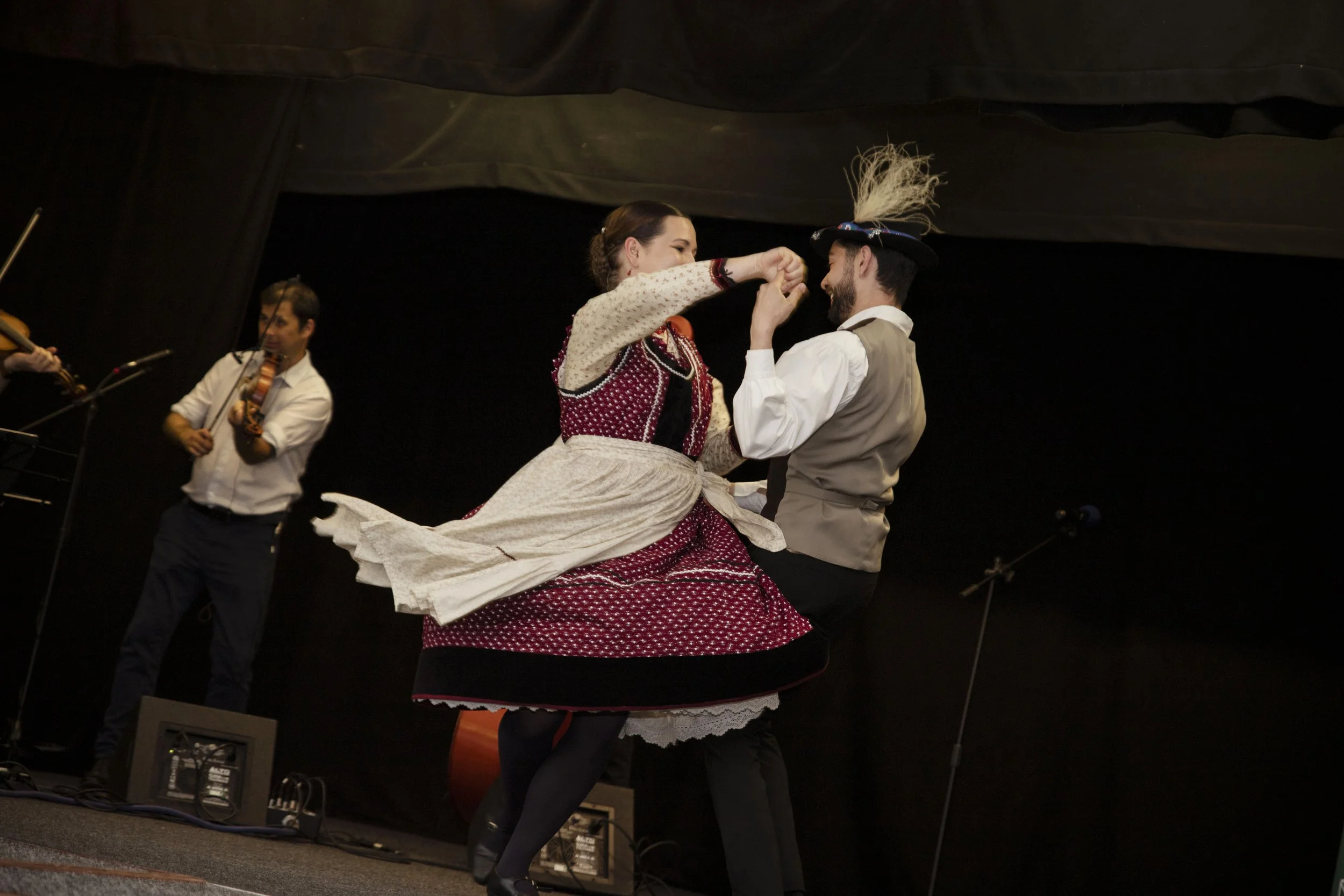 Welsh-Hungarian Day 2025, Cardiff