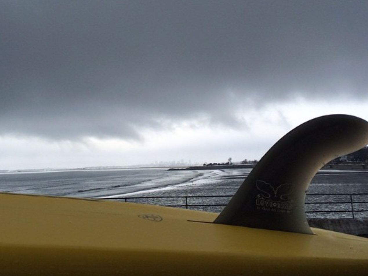 Surf Winter Supply Co.