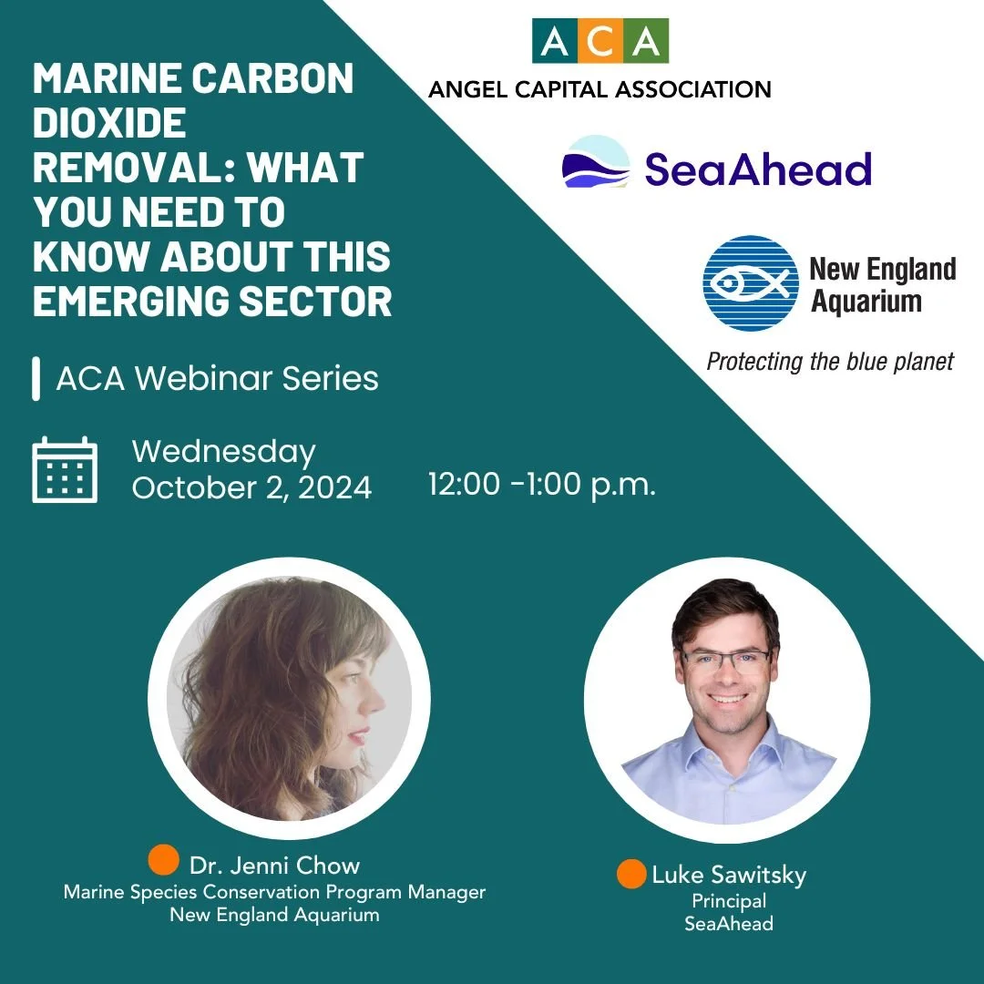 mCDR: What You Need to Know About this Emerging Sector