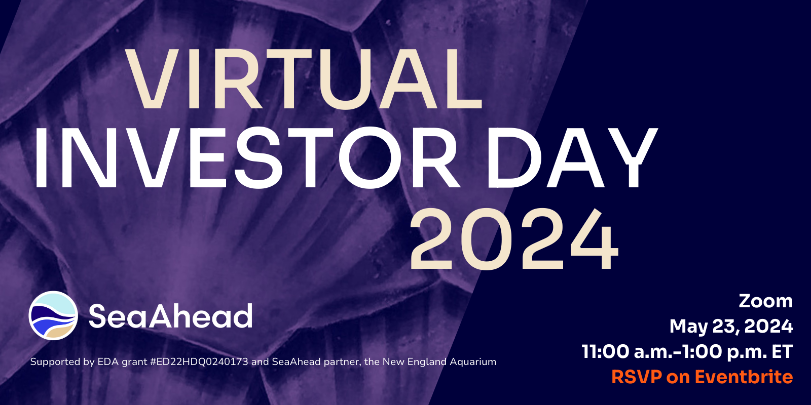 Virtual Investor Day