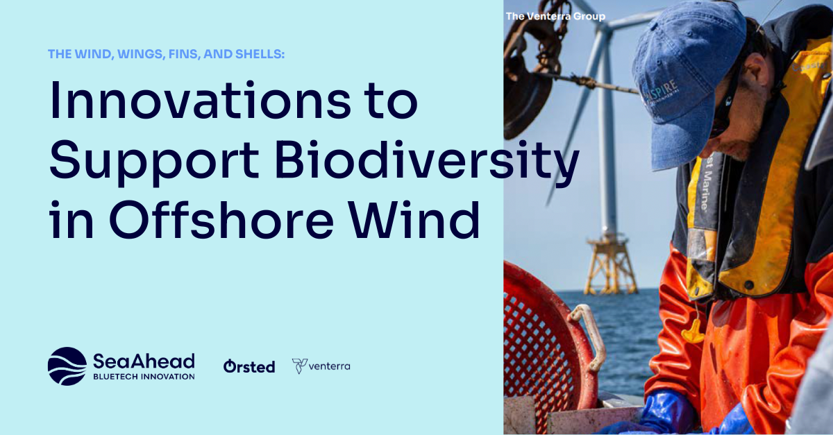 Innovations to Support Biodiversity in Offshore Wind: White Paper Announcement