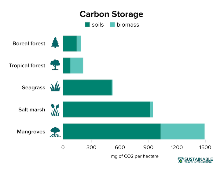 Blue Carbon and Its Role in Climate Change