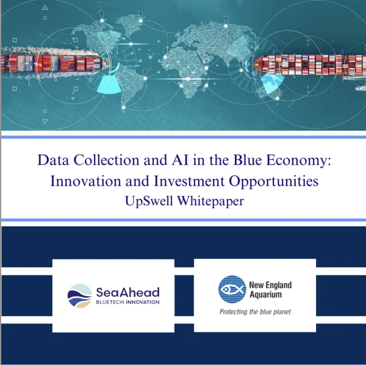 Data Collection and AI in the Blue Economy: White Paper Announcement