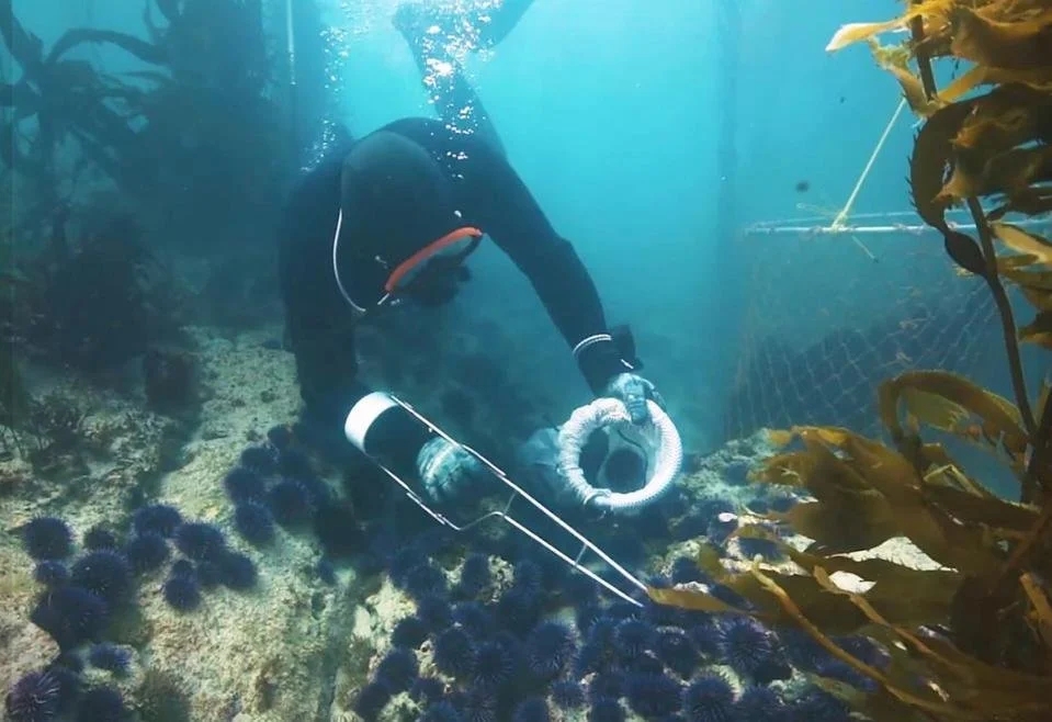 Eight Startups Pursuing A Sustainable Blue Economy Via BlueSwell