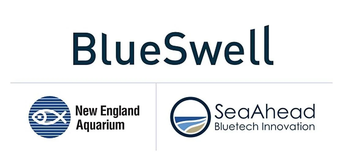 New cohort of startup companies supporting ocean health selected for the BlueSwell Incubator