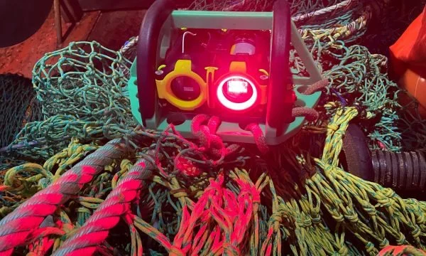 SafetyNet Technologies Casts a Wide Net in the Fishing Industry: From the UK to Mississippi&nbsp;