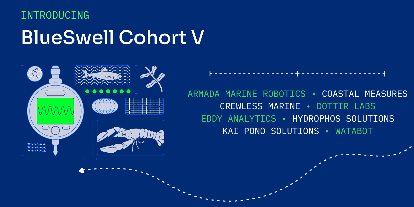 SeaAhead and the New England Aquarium Welcome BlueSwell’s Fifth Cohort