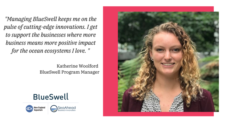 The Next Wave: BlueSwell Cohort III