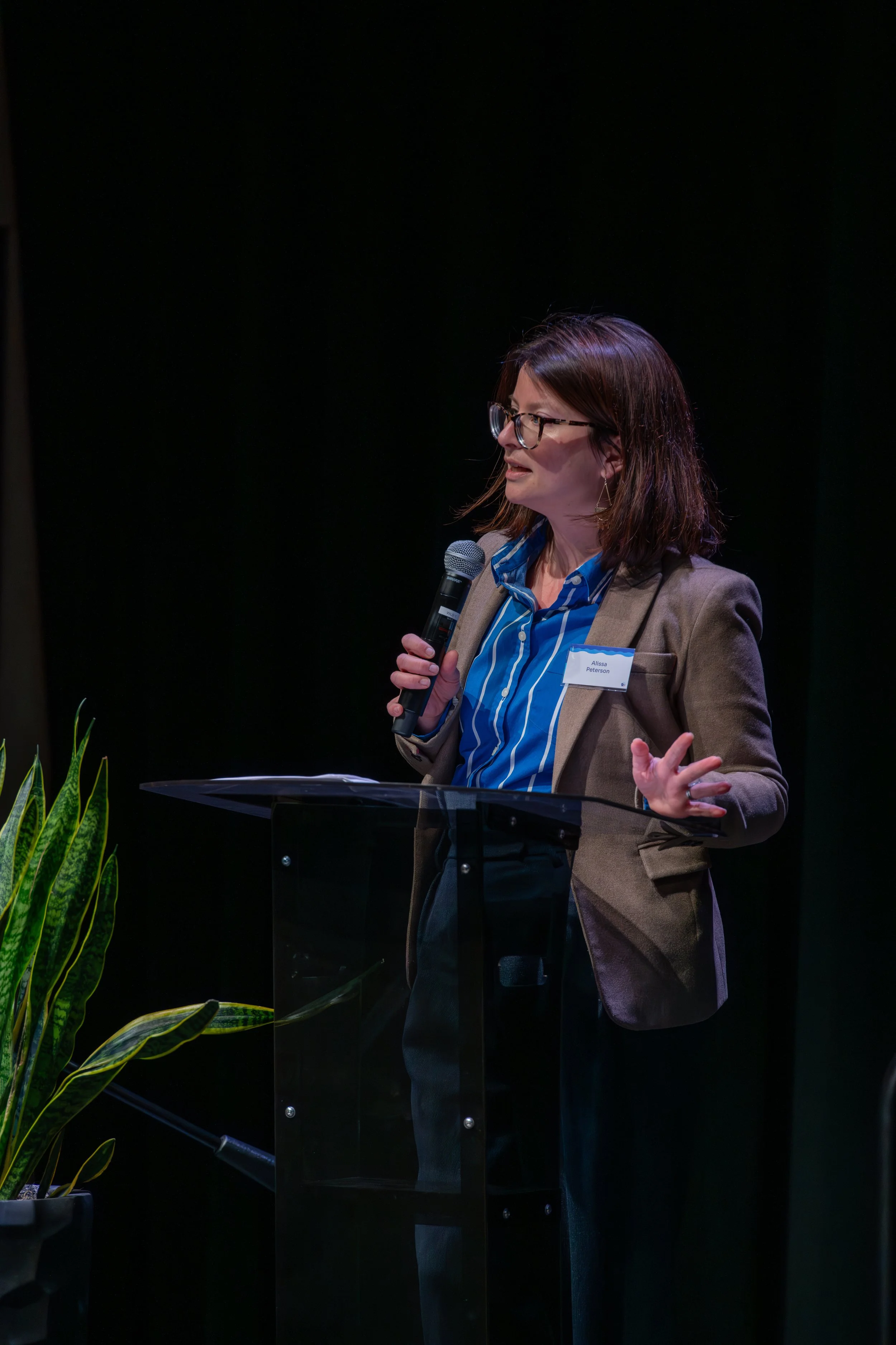 Li1 SeaAhead_OffshoreWindSymposium_24.02.06-29.jpeg