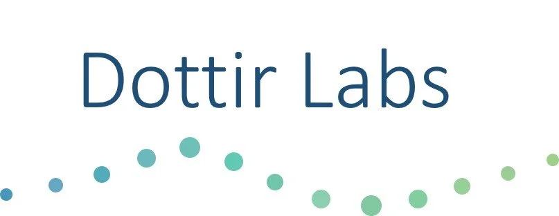 Lead Systems Engineer - Dottir Labs
