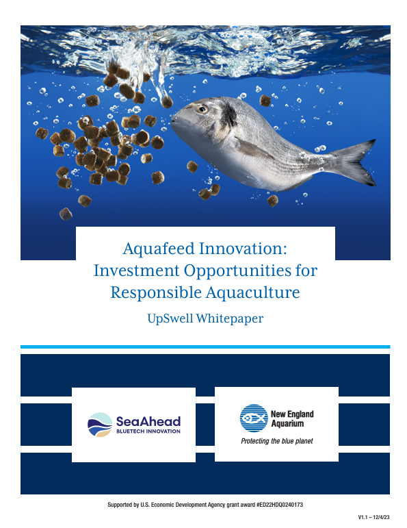 Aquafeed Innovation: Investment Opportunities for Responsible Aquaculture