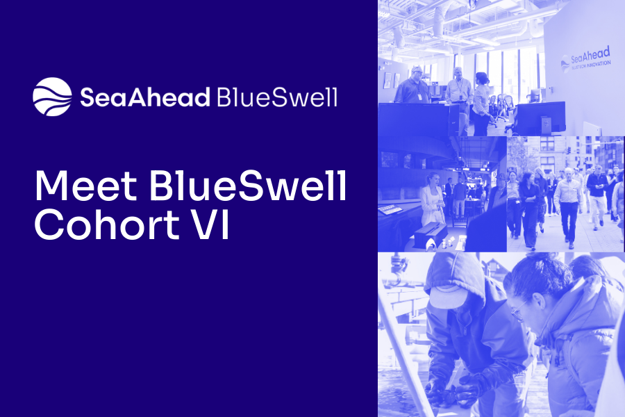 Meet BlueSwell Cohort VI