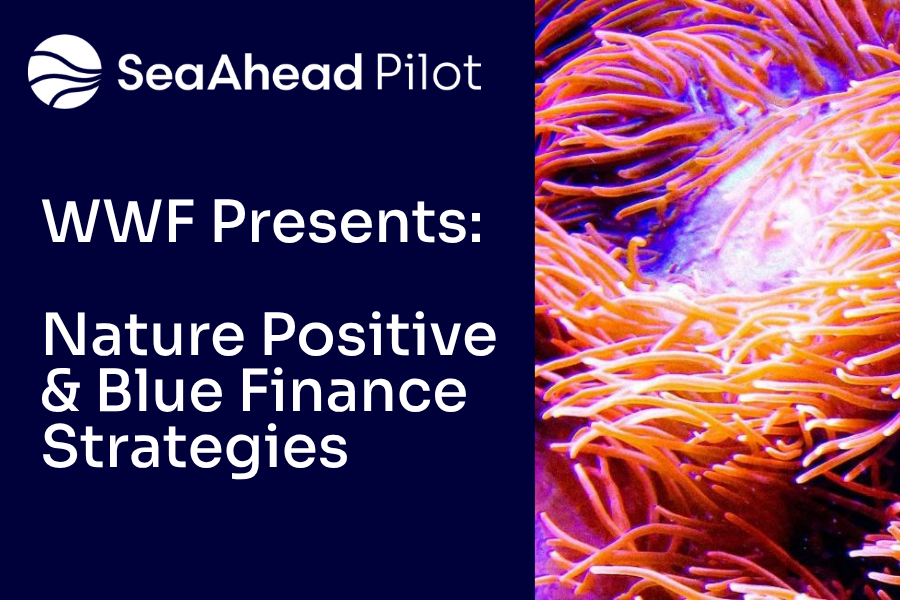 Guiding Coastal Innovators: WWF on Nature Positive and Blue Finance