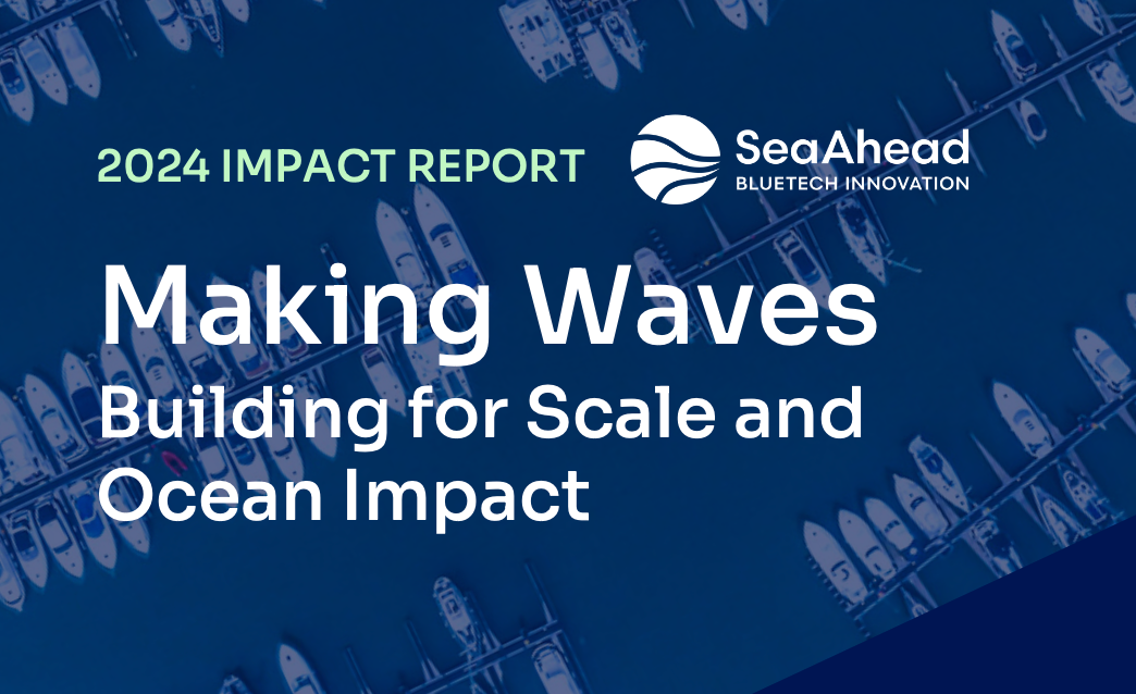 SeaAhead’s 2024 Impact Report