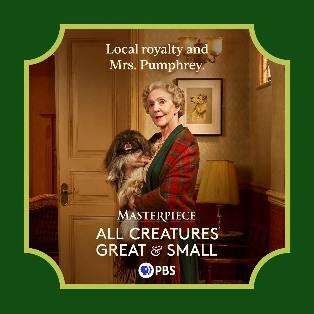 ACGAS_Static Solos-MrsPumph-1x1.jpg